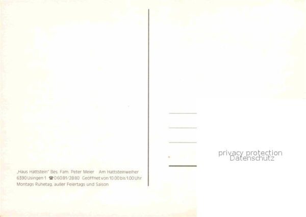 Usingen Fliegeraufnahme Haus Hattstein mit Weih – Bild 2