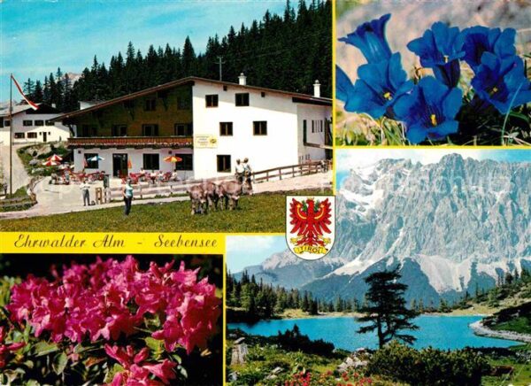 Ehrwald Tirol Alm und Seebensee