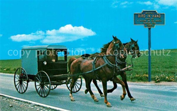 Pferdekutschen Double-Tree Hitch Bird-In-Hand Amish
