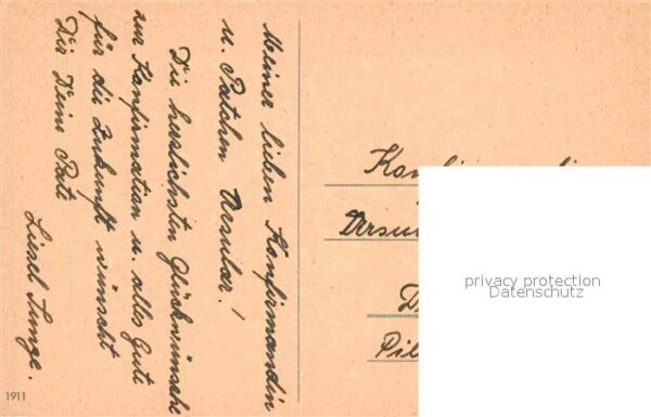 Rosen – Bild 2