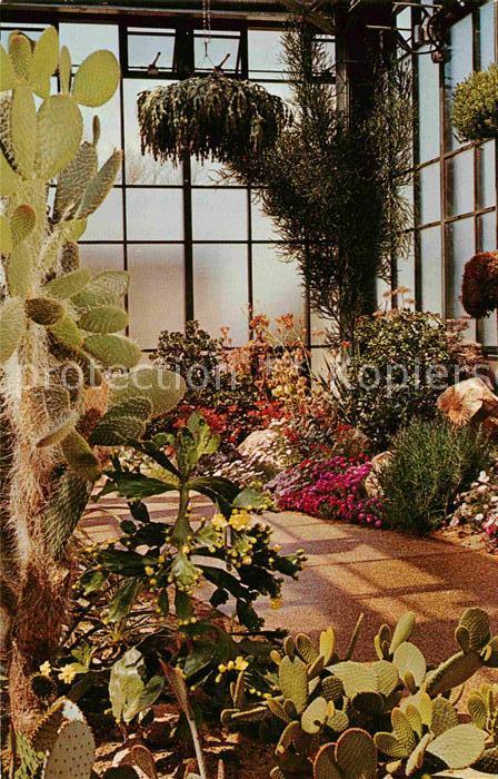 Kakteen Succulent House Longwood Gardens Kennet