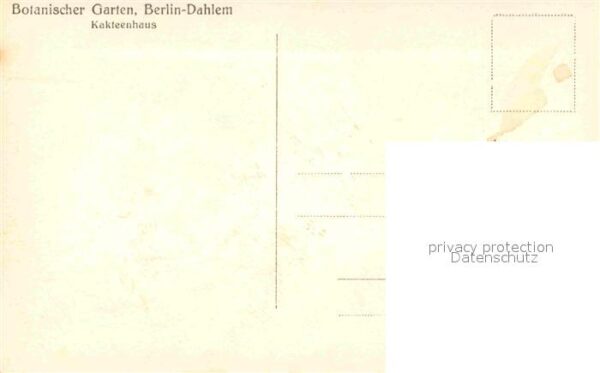 Kakteen Botanischer Garten Berlin-Dahlem Kaktee – Bild 2
