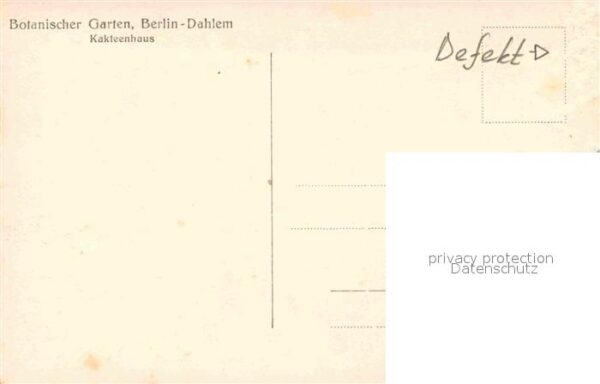 Kakteen Botanischer Garten Berlin-Dahlem Kaktee – Bild 2