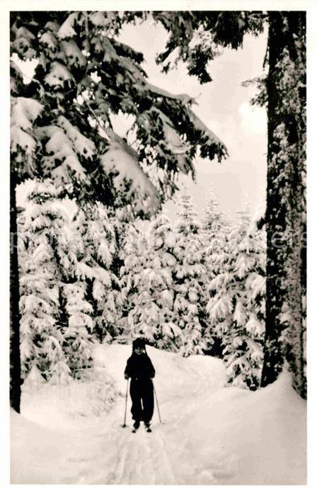 Skifahren Waldweg Kniebis Lamm