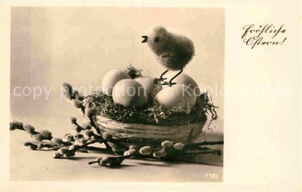 Ostern Easter Paques Küken Ostereier Weidenkätzchen