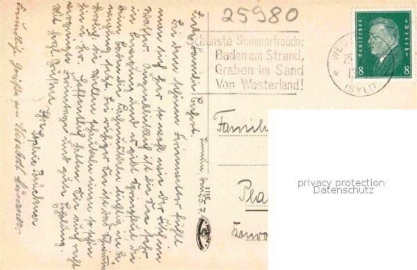 Moewen Möwenflug Sylt – Bild 2