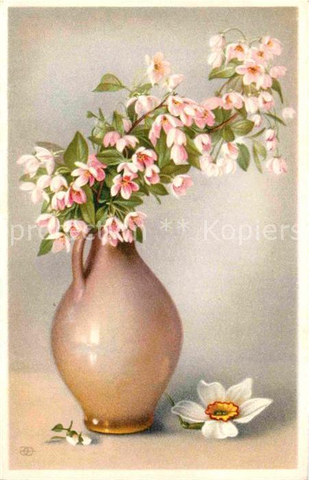 Blumen Vase Weisse Narzisse