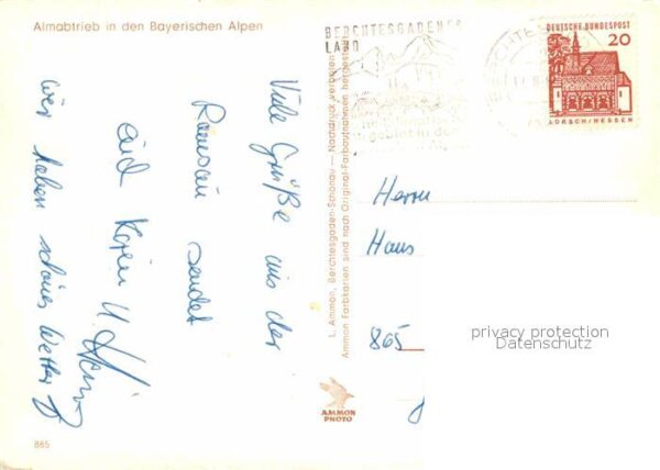 Kuehe Almabtrieb Berchtesgadener Land – Bild 2