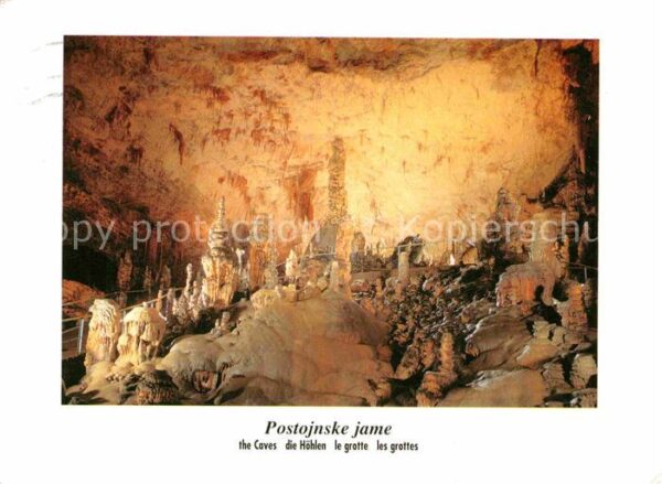 Hoehlen Caves Grottes Postojnska Jama