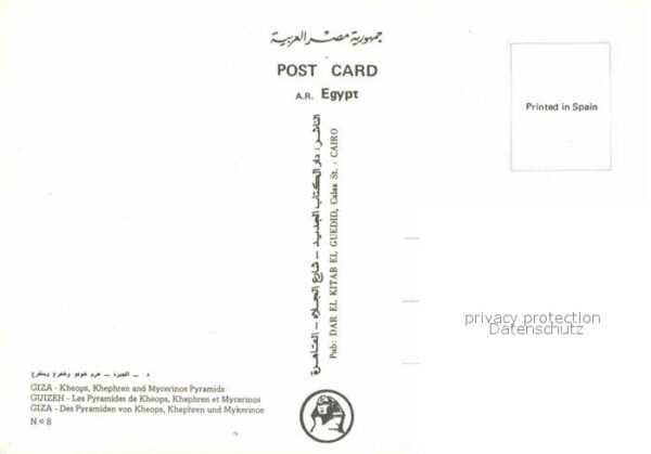 Kamel  Camel Chameau Giza Kheops Khephren Mycerinos Pyramids – Bild 2