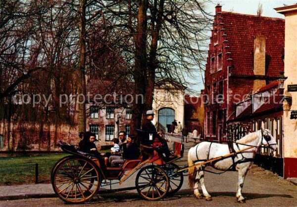 Pferdekutschen Pferdedroschke Brugge