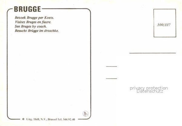Pferdekutschen Pferdedroschke Brugge – Bild 2