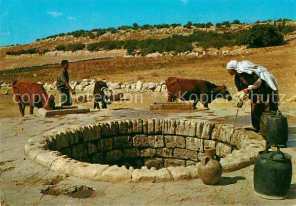 Typen Arabien Femme arabe puisant l'eau du Puits Brun