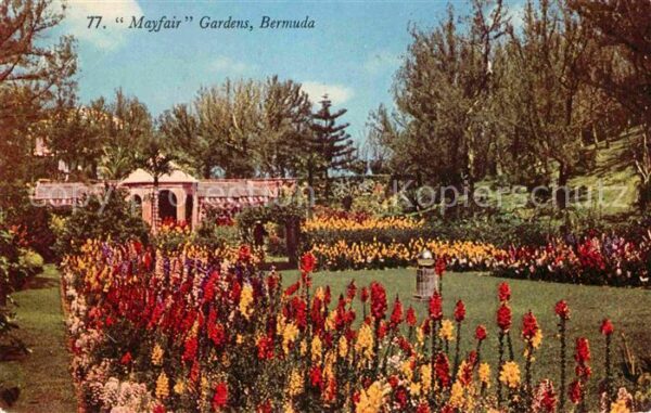 Hamilton Bermuda Mayfair Gardens