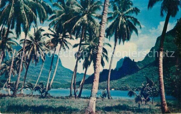 Tahiti Polynesien Moorea Bay