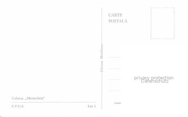 Mestecanis Cabana – Bild 2