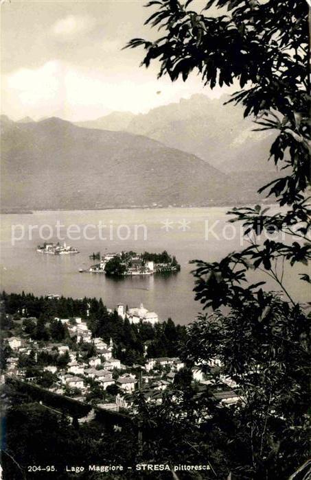 Stresa Lago Maggiore Panorama