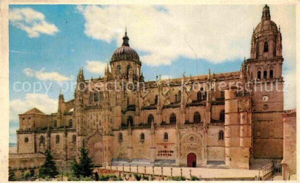 Salamanca Castilla y Leon Catedral Nueva Kathedrale