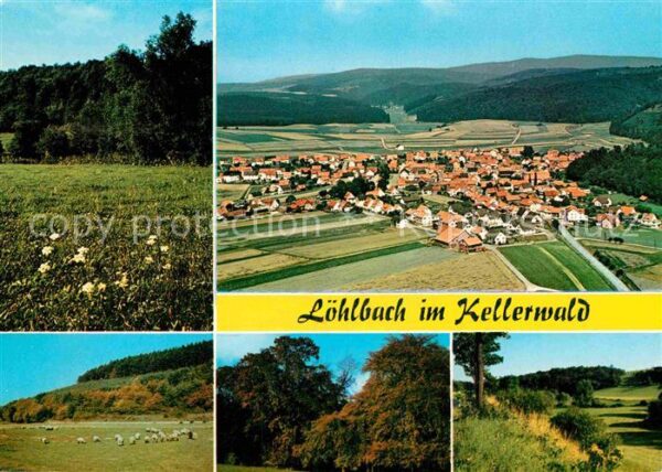 Haina Kloster Landschaftspanorama Schafherde Fliegera