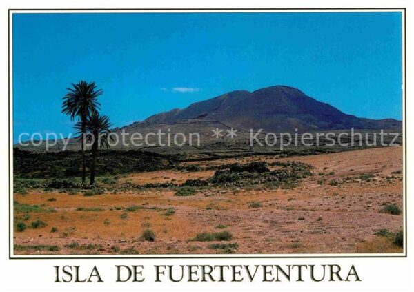 La Oliva Paisaje volcanico Landschaftspanorama