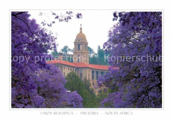 Pretoria Union Buildings Baumblüte