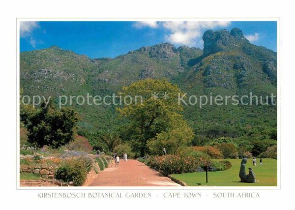 Cape Town Kaapstad Kapstadt Kirstenbosch Botanical Garden