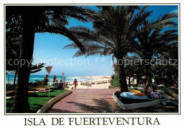 Corralejo Hotelanlage Palmen Blick zum Strand
