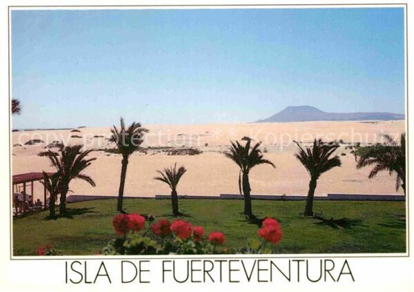 La Oliva Hotel Oliva Beach Palmen Wüstenlandscha