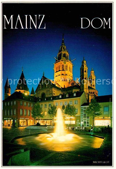 Mainz Rhein Dom Springbrunnen Nachtaufnahme
