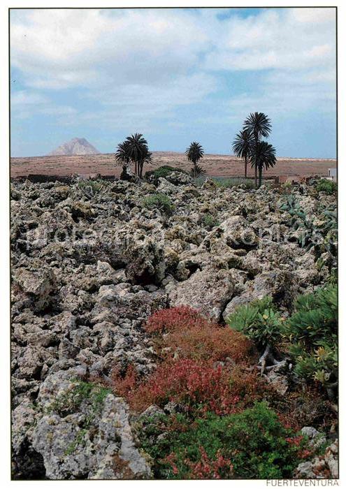 La Oliva Paisaje volcanico Landschaftspanorama