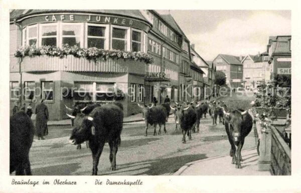 Braunlage Damenkapelle Cafe Junker