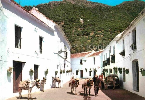 Mijas Esel