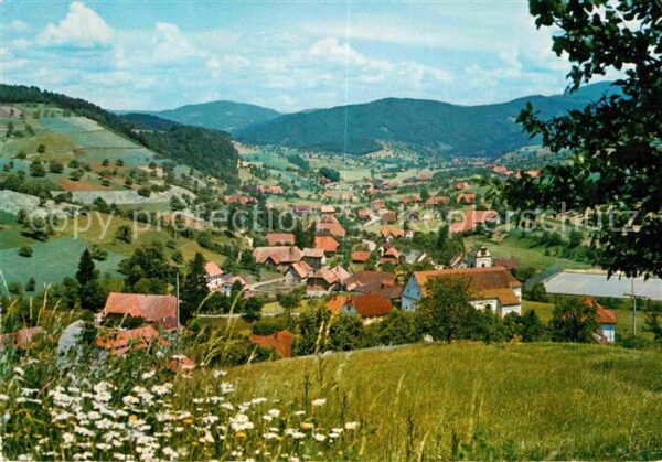 Welschensteinach Gasthaus Zum Wilden Mann