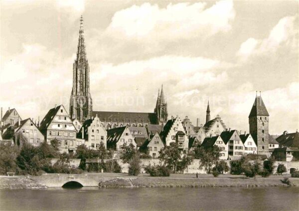 Ulm Donau Münster zu Ulm