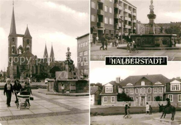 Halberstadt Martinskirche Dom Fischmarkt Burchardit