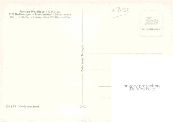 Hallwangen Pension Waldliesel – Bild 2