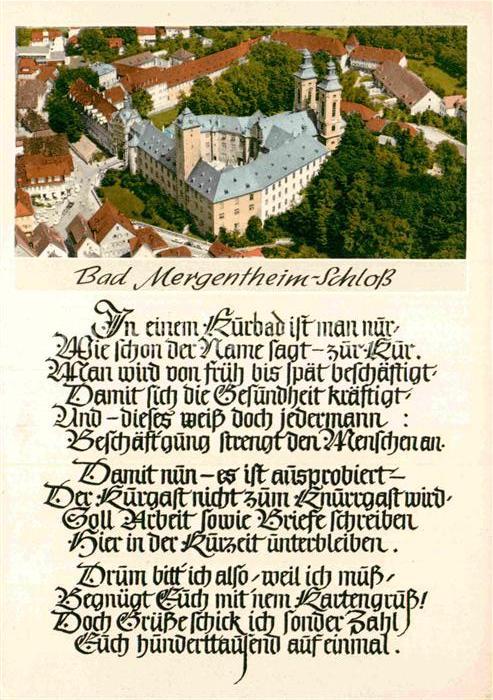 Bad Mergentheim Fliegeraufnahme Schloß