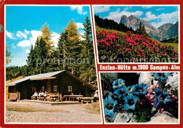 Afers Brixen Enzian Hütte Gampen-Alm