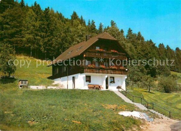 Baiersbronn Schwarzwald Haus am Walde