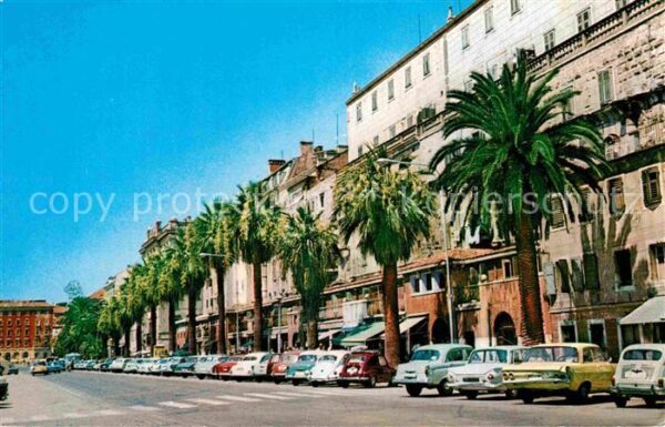 Split Spalato Dioklecianova palata Palast Palmen