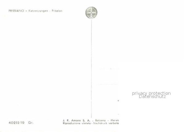 Prissian Prissiano Castel Katzenzungen Baumblüte – Bild 2