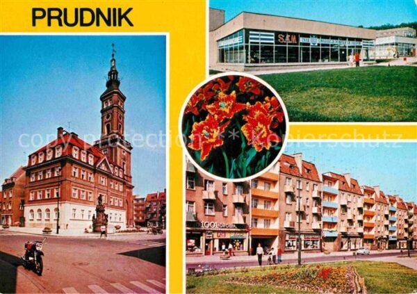 Prudnik Rathaus Einkaufszentrum Blumen Wohnbloc
