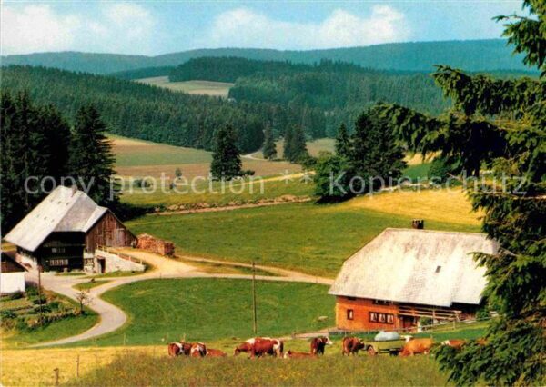 Schoenwald Schwarzwald Bartlisbauernhof Ferien auf dem Bauernh