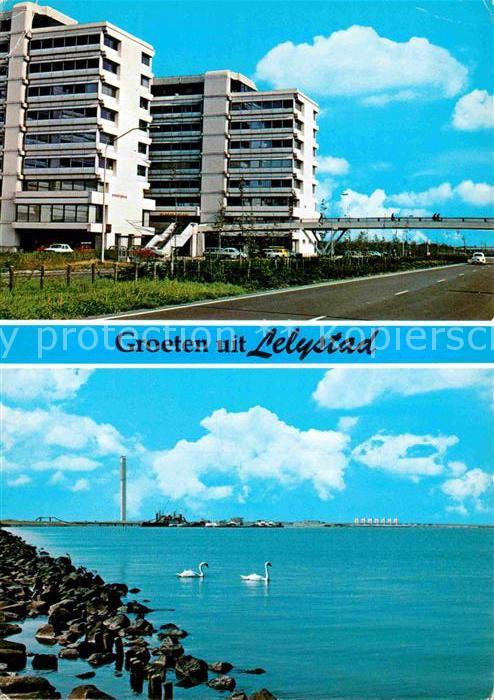 Lelystad Schwan