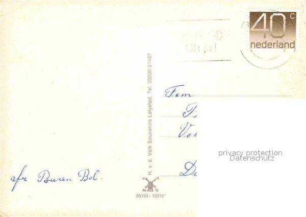 Lelystad Schwan – Bild 2