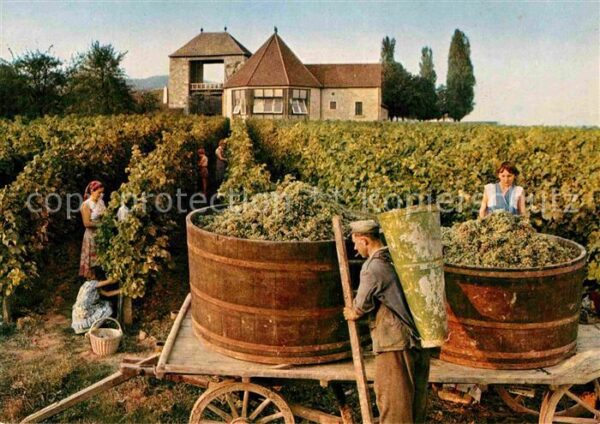 Schweigen-Rechtenbach Deutsche Weintor