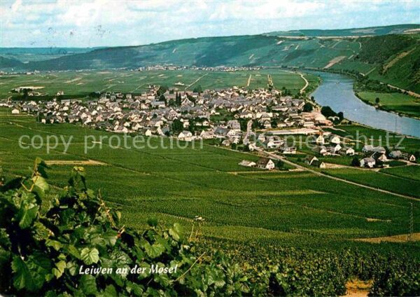 Leiwen Mosel Fliegeraufnahme Moselpartie