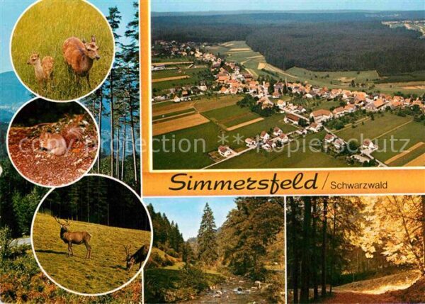 Simmersfeld Fliegeraufnahme Wild Wald