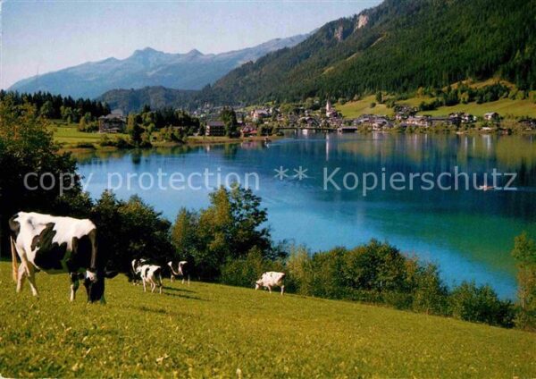 Weissensee Kaernten Panorama