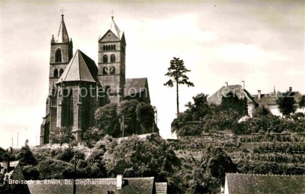Breisach Rhein St Stephansmünster